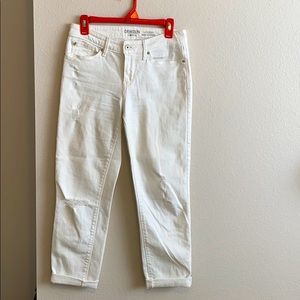 Levi Denizen Modern Slim Cuffed